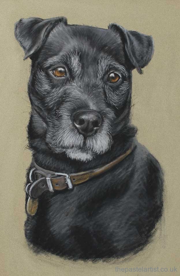 Pastel sales dog portraits