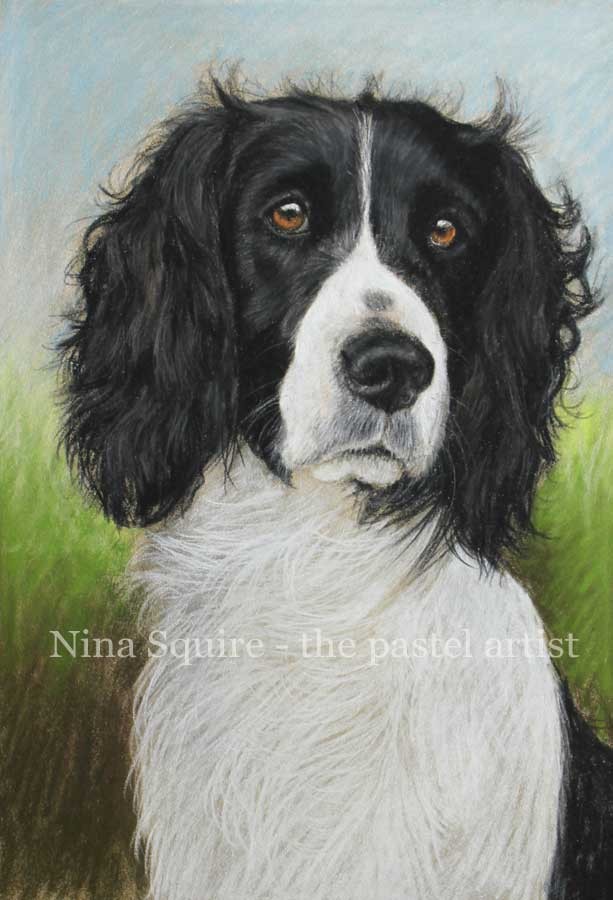 Dog and pet portraits in pastel